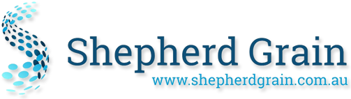 branding logo
